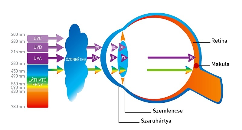 Napszem&uuml;veg szem&uuml;vegeseknek 1