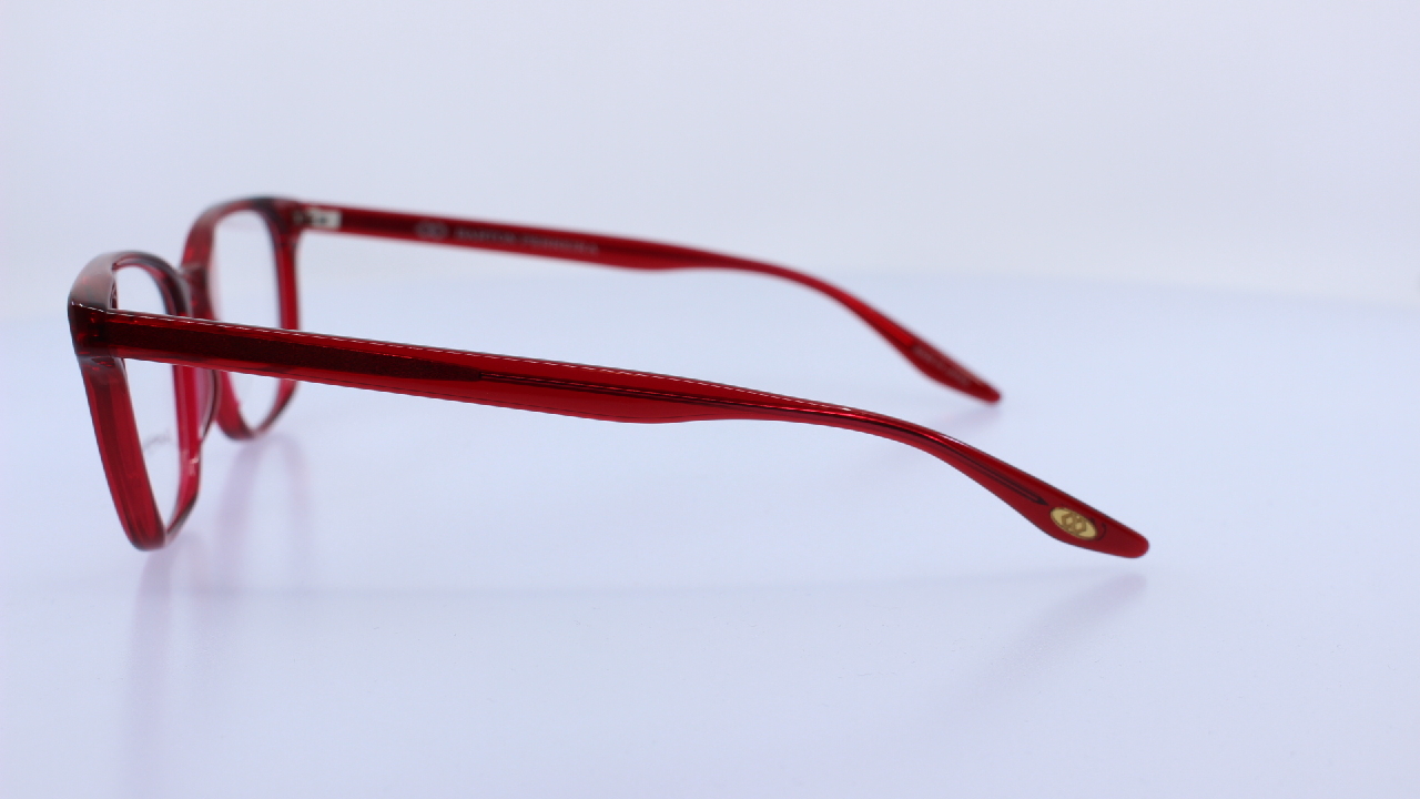 BARTON PERREIRA - BARNA - JANEWAY